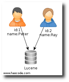 lucene index