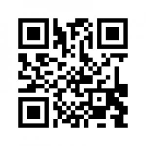 qr code correct 300x300