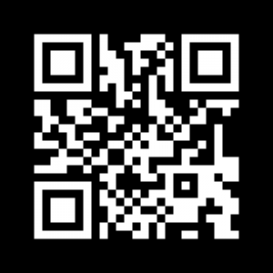 qr code inverted error 300x300