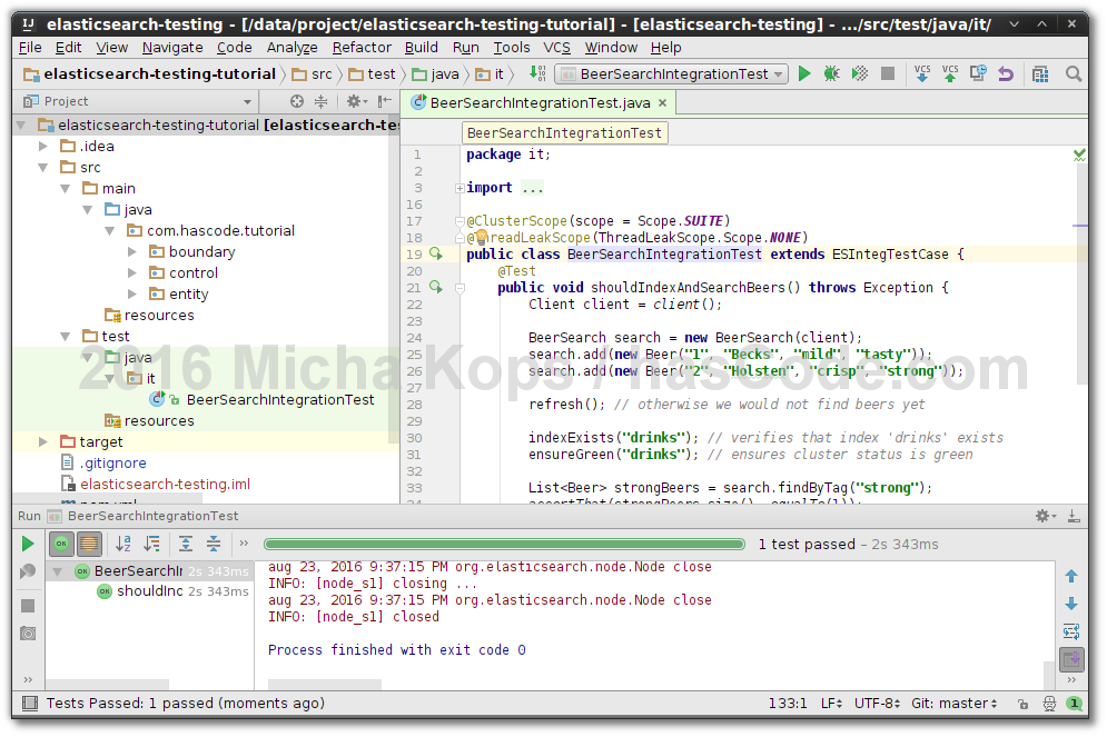 run elasticsearch integration test intellij