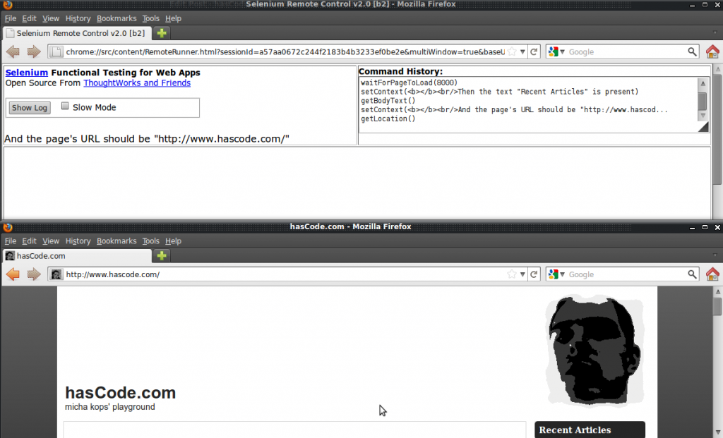 selenium runner end 1024x621